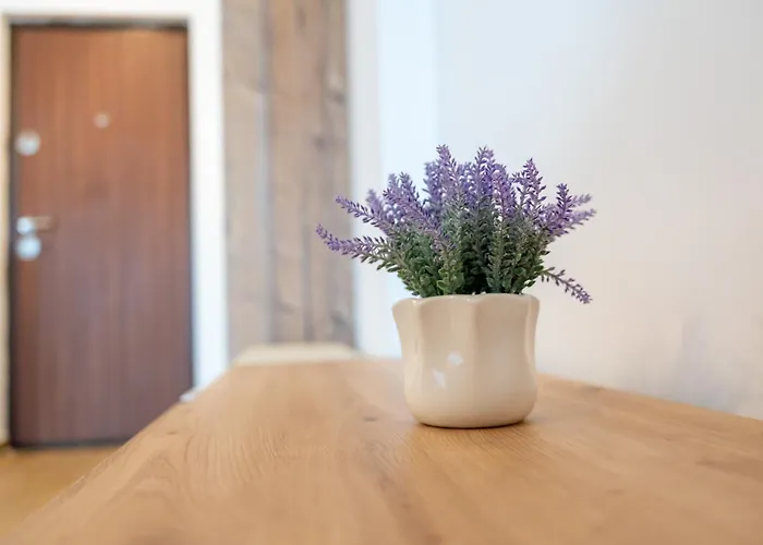 Daire Sea Side Navodari